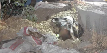 Kum dolu çuvalın içinden ceset çıktı