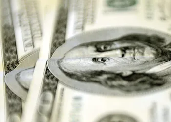 Aylık en yüksek reel getiri dolarda oldu