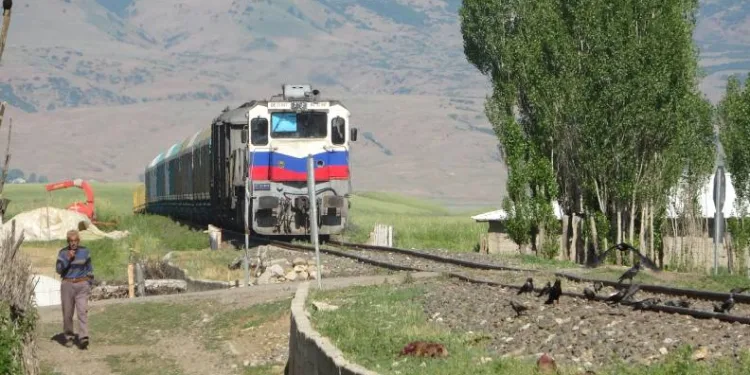 Koyunlarını kurtarmaya çalışırken can verdi