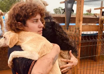 Barınakta mahsur kalan köpekler kurtarıldı