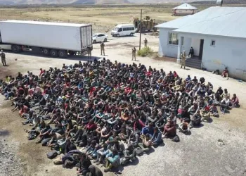 Sınır dışı edilen göçmenlerin sayısı açıklandı