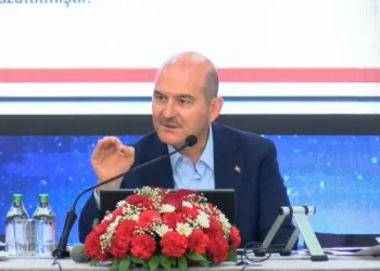Bakan Soylu, kaçak göçmen sayısını açıkladı