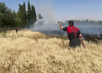 Yüksek gerilim hattı buğday tarlasını kül etti