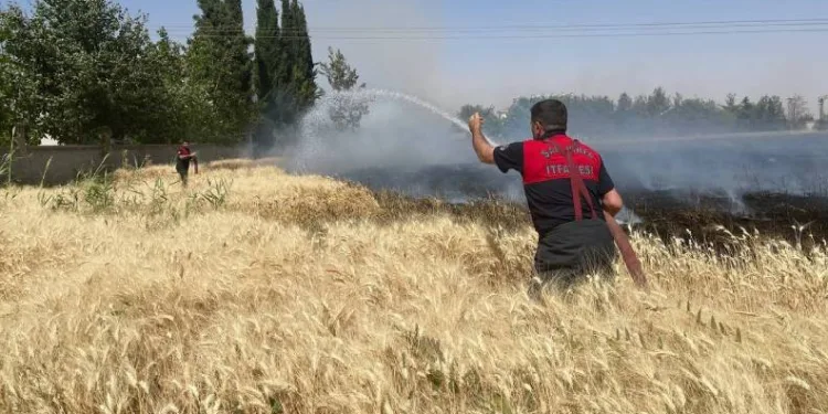 Yüksek gerilim hattı buğday tarlasını kül etti