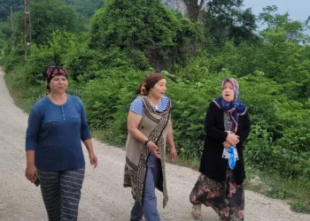 Mahallede ayı korkusu: “Evlerimizden çıkamıyoruz”