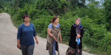 Mahallede ayı korkusu: “Evlerimizden çıkamıyoruz”