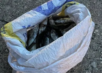 Patlayıcı ile balık avlayan şahsa ceza
