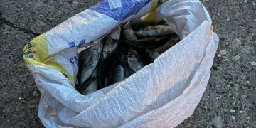 Patlayıcı ile balık avlayan şahsa ceza