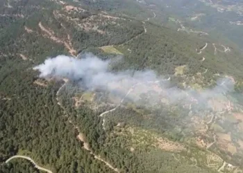 İzmir’de ormanlık alanda yangın