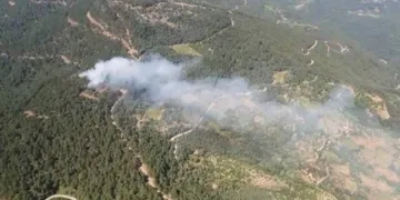 İzmir’de ormanlık alanda yangın