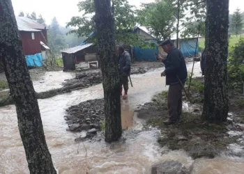 Yayla yolundaki heyelan nedeniyle 20 kişi yardım istedi