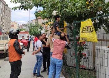Kiraz yemek isterken eline demir saplantı