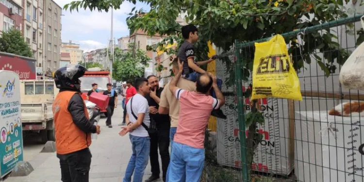 Kiraz yemek isterken eline demir saplantı