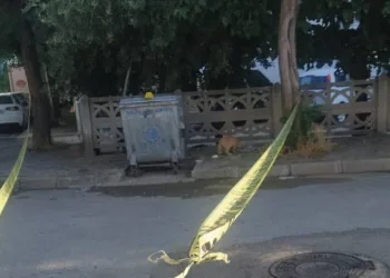 Çöp konteynerinde bebek cesedi bulundu!