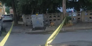 Çöp konteynerinde bebek cesedi bulundu!