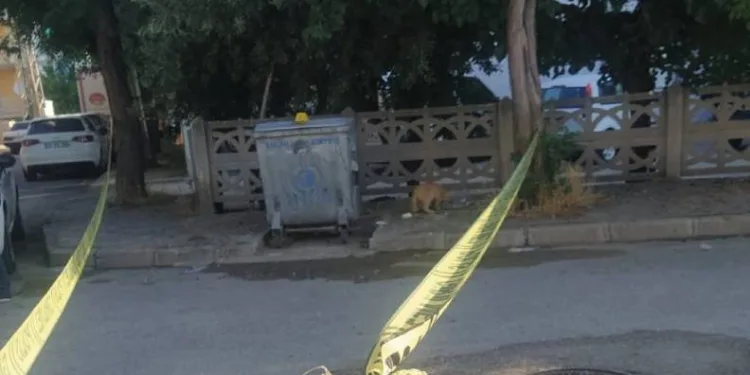 Çöp konteynerinde bebek cesedi bulundu!