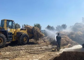 Besihanede 3 bin ot balyası yandı