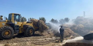 Besihanede 3 bin ot balyası yandı