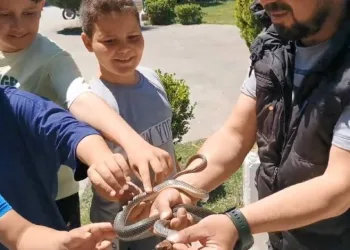 Parktaki çocuklara yılan sevdirdi