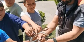 Parktaki çocuklara yılan sevdirdi
