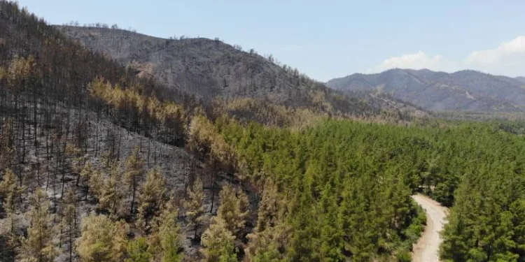 Marmaris’te söndürülen alanlar havadan görüntülendi