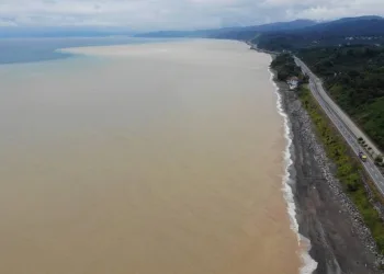 Karadeniz’in rengi çamura döndü