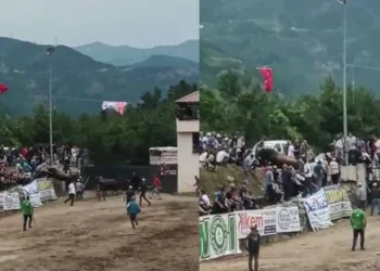 Rakibinden kaçan boğa seyirci tribününe daldı