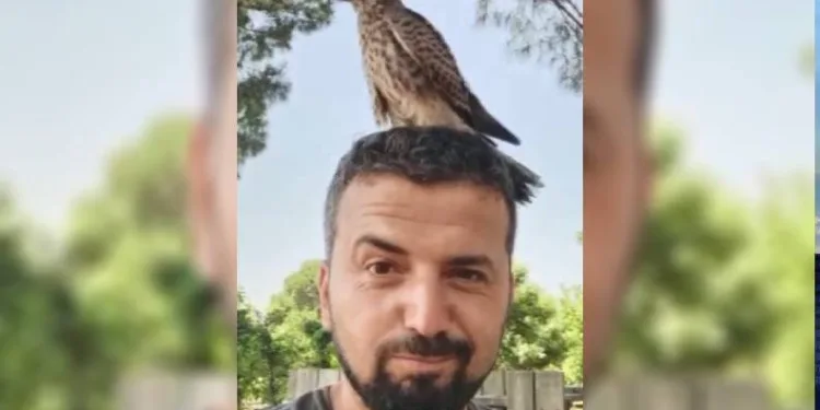 Bursa’da yırtıcı kuşla arkadaş oldu