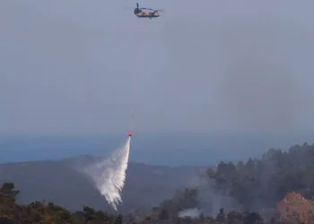 AFAD’dan Marmaris’teki yangına ilişkin açıklama