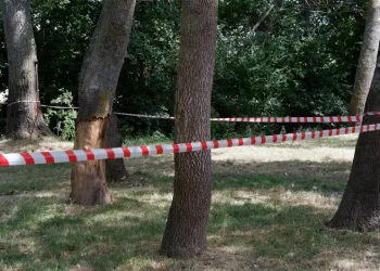 Edirne’de ormanlara giriş 3 ay yasaklandı