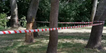 Edirne’de ormanlara giriş 3 ay yasaklandı