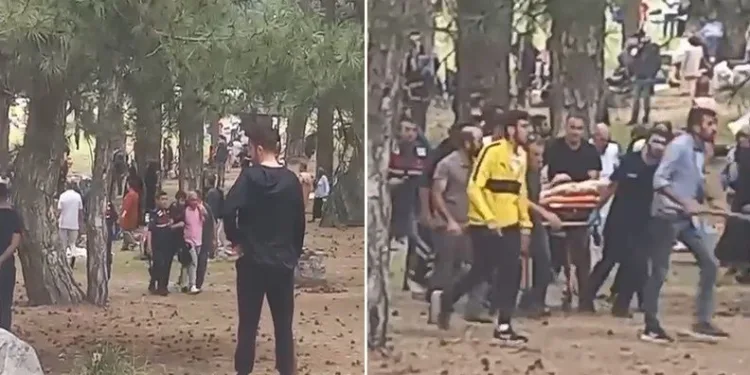 Bursa’da piknikte kavga! Jandarma havaya ateş açtı