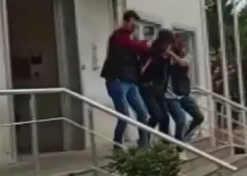 PKK üyesi İstanbul’da ormanda yakalandı