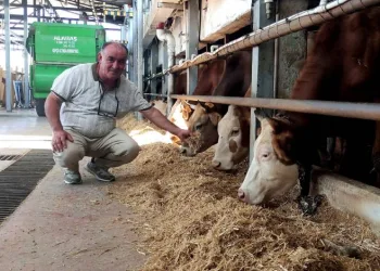 Bursa’da hayvanlarına gözü gibi bakıyor