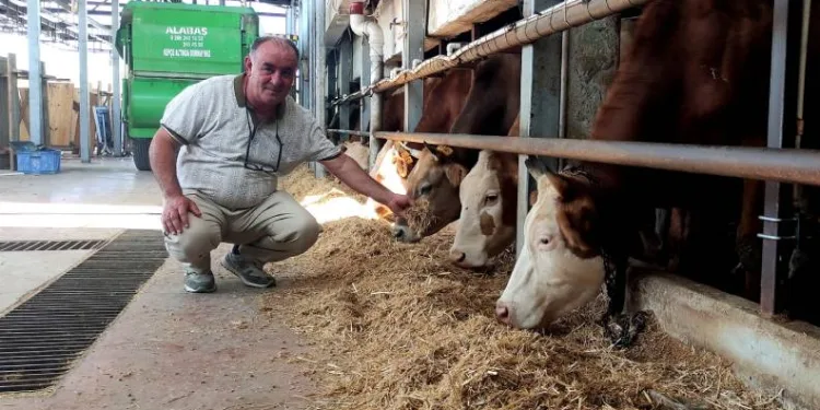 Bursa’da hayvanlarına gözü gibi bakıyor