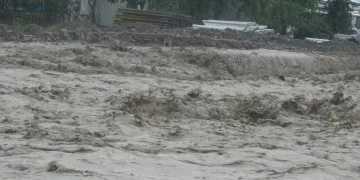 Vidinlioğlu sel bilançosunu açıkladı
