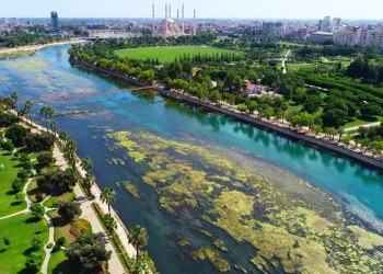 Seyhan Nehri’nde yosun istilası