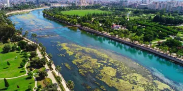 Seyhan Nehri’nde yosun istilası