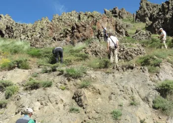Tunceli’de bitki envanteri çıkarılıyor