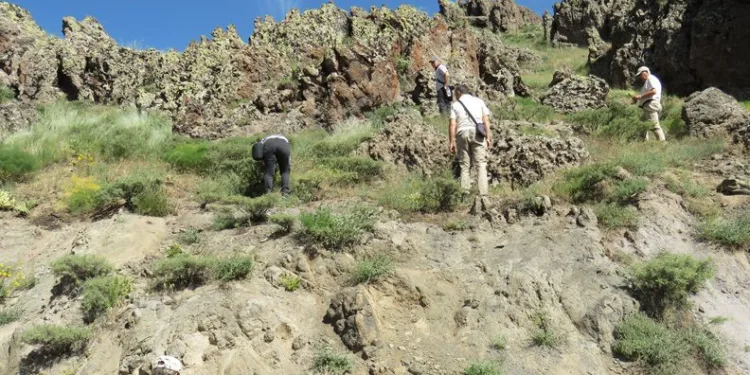 Tunceli’de bitki envanteri çıkarılıyor