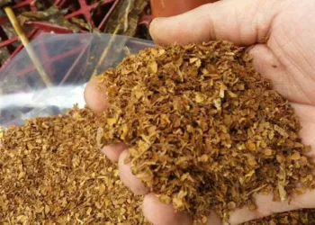 İstanbul’da tütün kaçakçılığı operasyonunda 9 şüpheli yakalandı