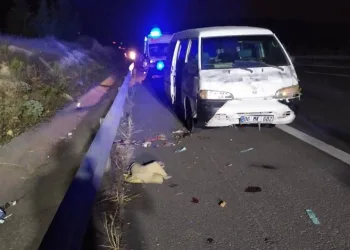 Hamile kadın ile 4 yaşındaki oğlu bıçaklanarak öldürüldü!
