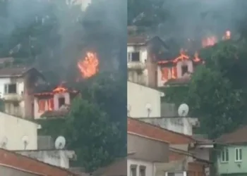 Uludağ’ın eteklerinde korkutan yangın