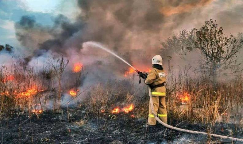 Rusya’da orman yangınlarıyla mücadele sürüyor