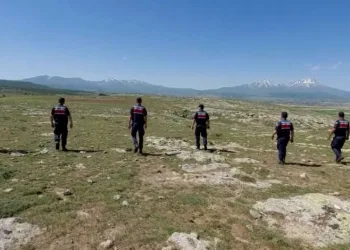 Defineciler jandarmaya suçüstü yakalandı