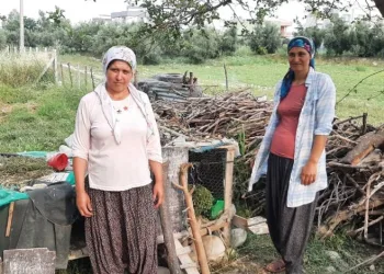 Hırsız kedi mahalleliyi canından bezdirdi