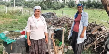 Hırsız kedi mahalleliyi canından bezdirdi