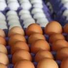 Rekabet Kurumun'dan yumurta sektörüne soruşturma
