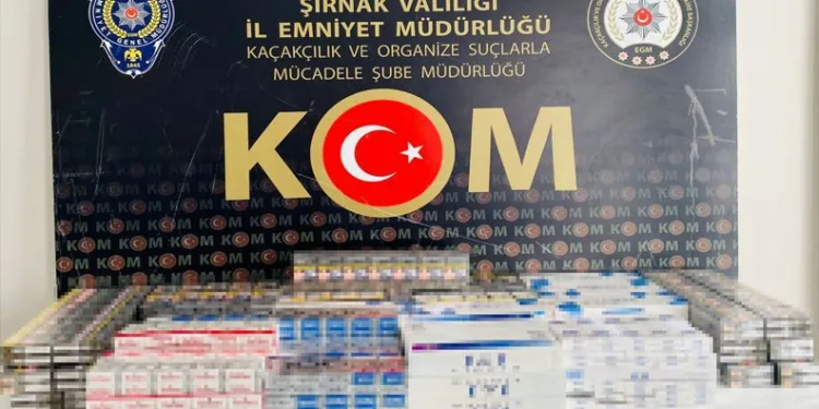 Terörün finans kaynaklarına operasyon