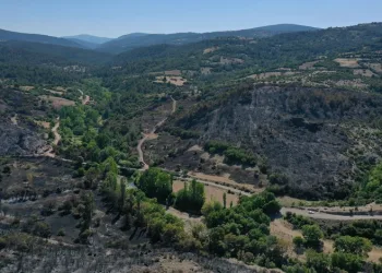 Balıkesir’de orman yangınında soğutma çalışmaları sürüyor